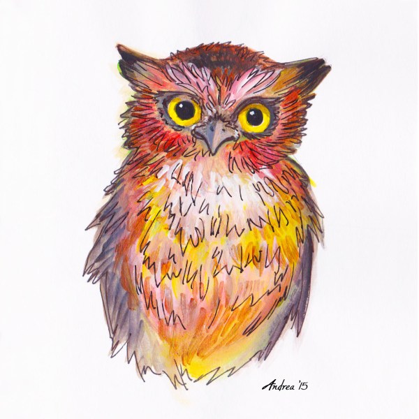 owl_Andrea